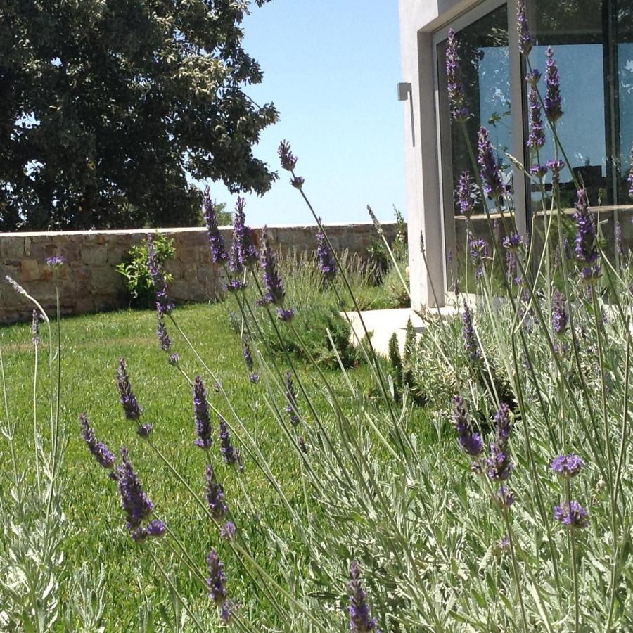 Lidea Boutique Hotel Potamos  Eksteriør bilde